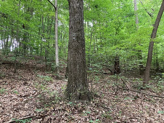 2nd image of 18970 Township Road 284 Lot Wp 001