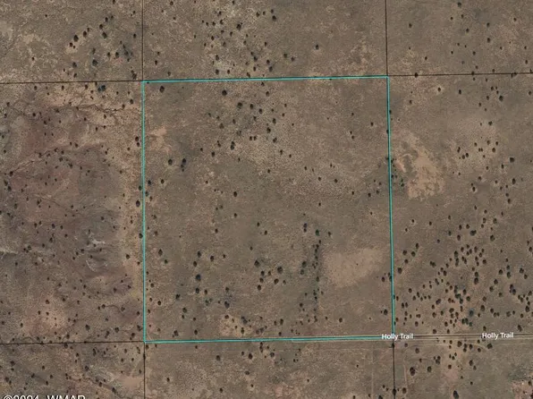 8492 Holly Trl, Snowflake, AZ 85937