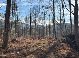 TRACT 1 Bull Mountain Rd, Del Rio, TN 37727