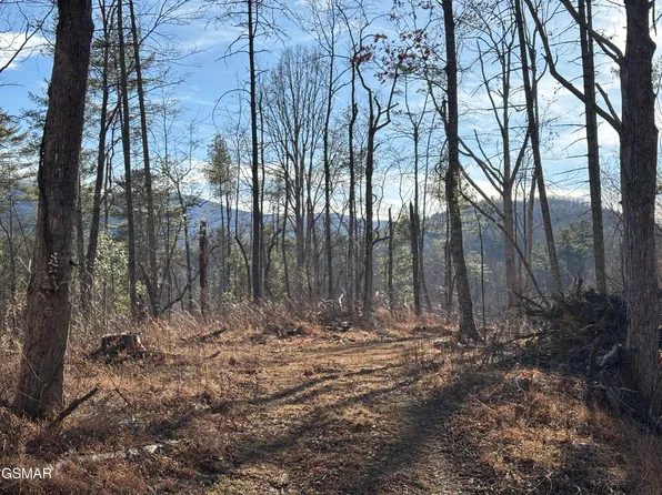 TRACT 1 Bull Mountain Rd, Del Rio, TN 37727