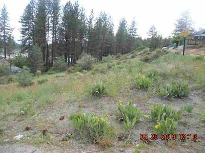 185 Green St, Portola, CA, 96122