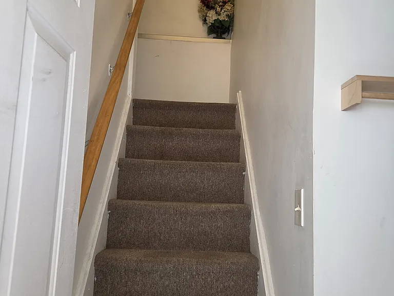 509 Saint Pauls Ave #2 — Photo 11
