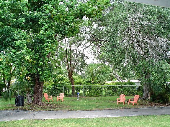large shady oaks backyard