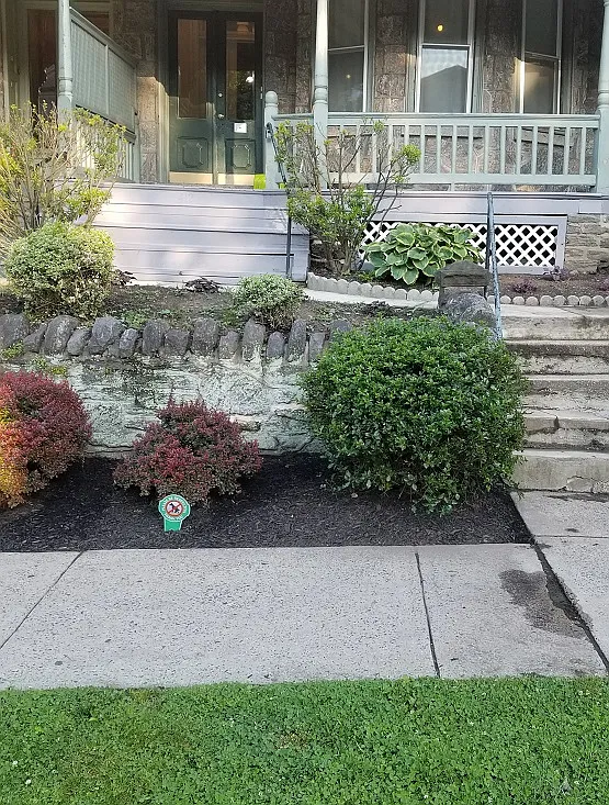 412 W Chelten Ave — Photo 2