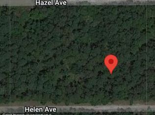 216 Helen Ave, Georgetown, FL 32139