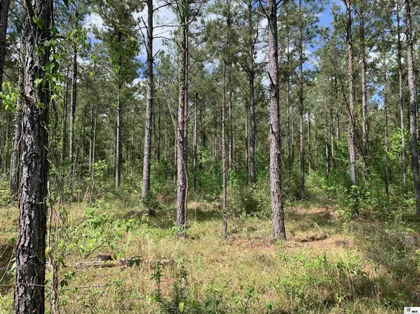 0 Old Dodson Rd, Dodson, LA 71422
