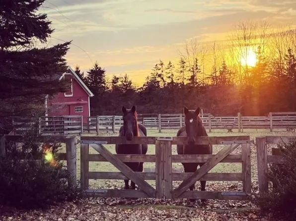 148 Mile Hill Road, Tolland, CT 06084