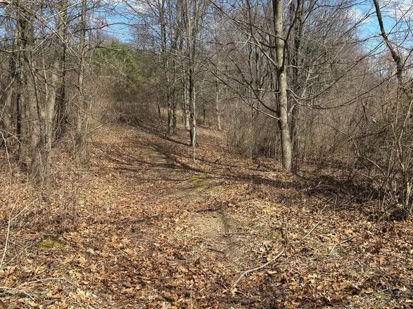 0 County Line Rd, Ortonville, MI 48462