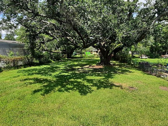 Back yard