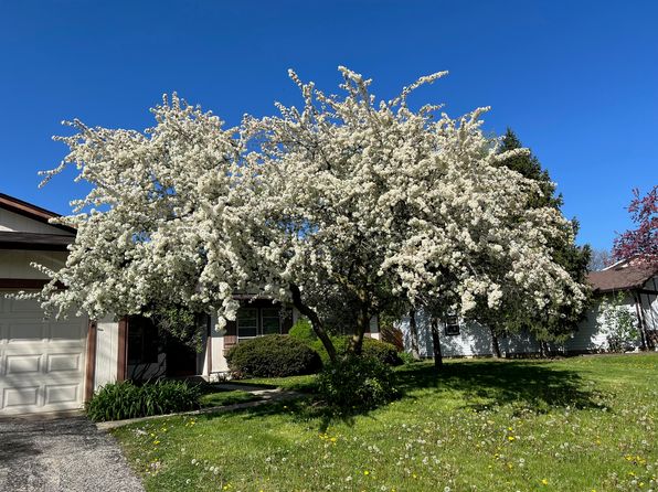 (undisclosed Address)