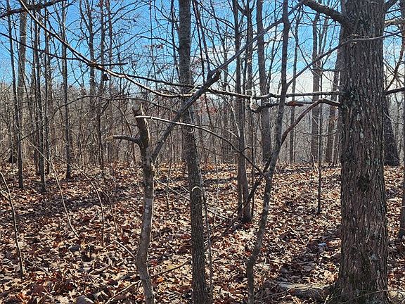 2nd image of 0 Dixie Ln