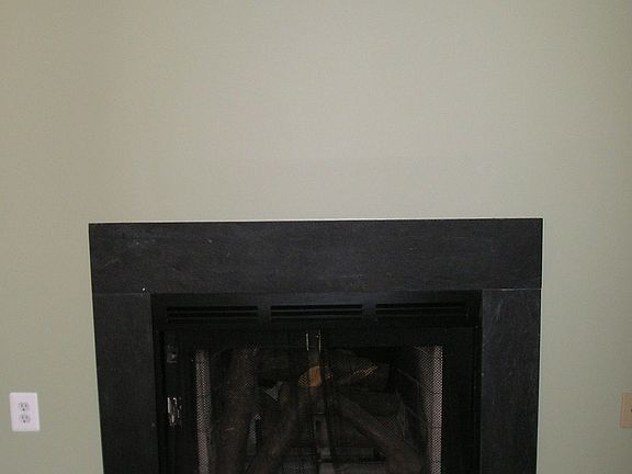 GAS FIRE PLACE IN LR
