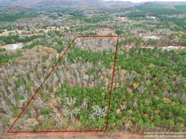 393 Siler Rd, Piedmont, AL 36272