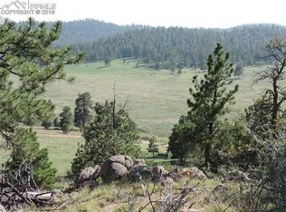 632 Spring Valley Dr, Florissant, CO 80816