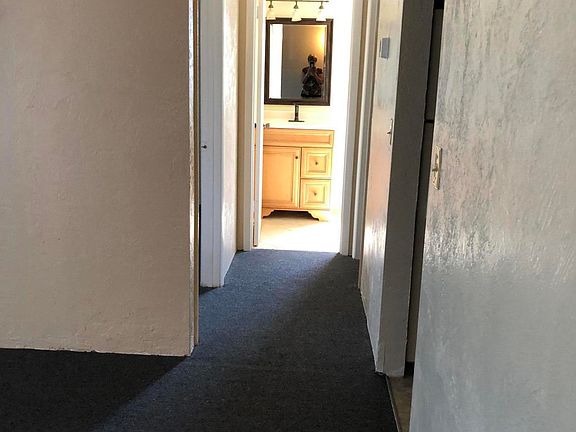 5th image of 1224 S Palmetto Ave APT 109