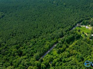 55/ACRE S County Rd #183, Haleyville, AL 35565