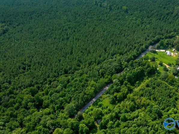 55/ACRE S County Rd #183, Haleyville, AL 35565