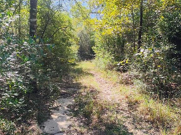 5th image of 5608 Racelia Dr