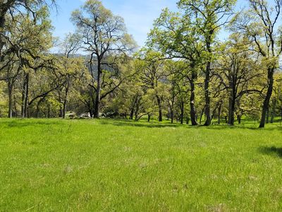 19884 Applejack Dr, Grass Valley, CA, 95949