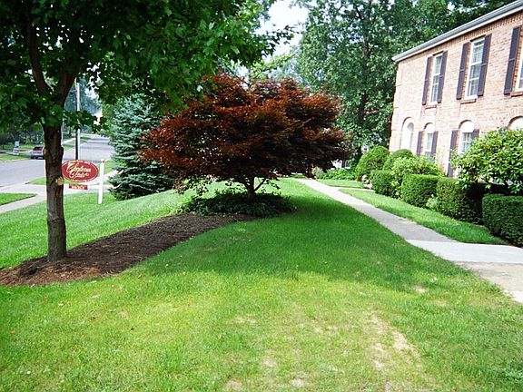 5th image of 585 Galen Dr
