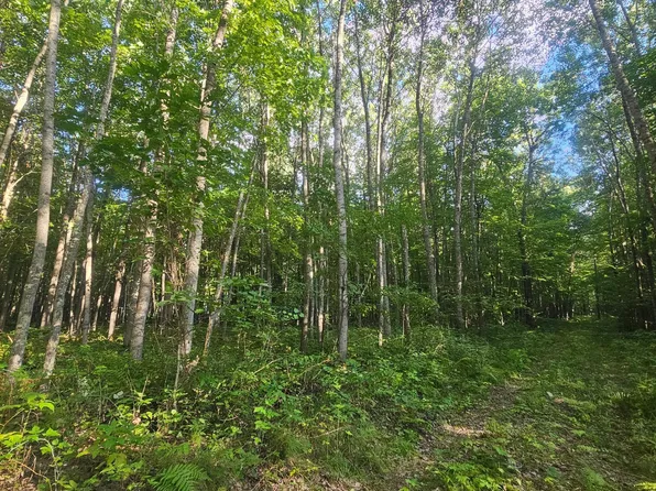 3 Ken Can Ln, Webster, WI 54893
