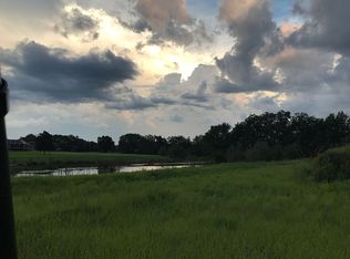 19620 Amazon Basin Bnd, Lutz, FL 33559