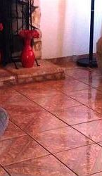 3rd image of 324 Yampa Cir