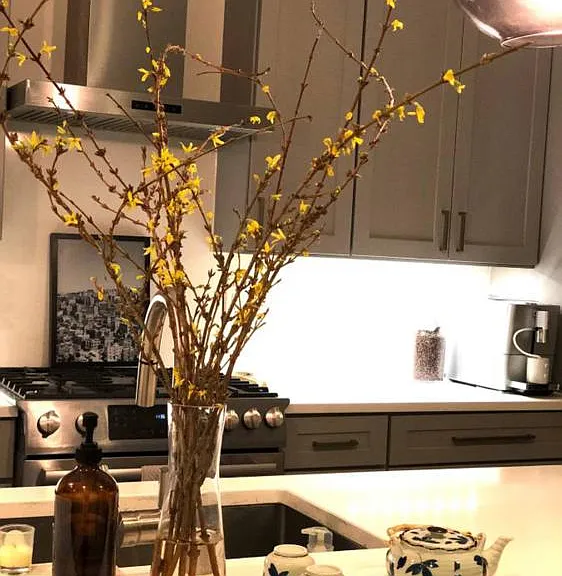 18 Q St NW #2 — Photo 8
