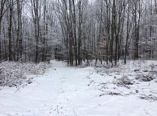 Highway C, Marion, WI 54950