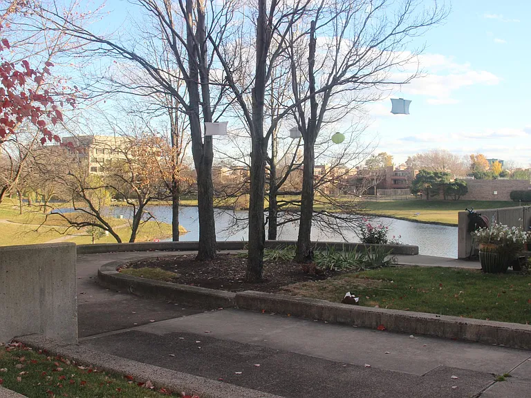 Pond