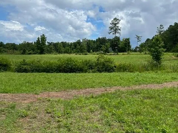 0 Brown Town Rd, Brodnax, VA 23920