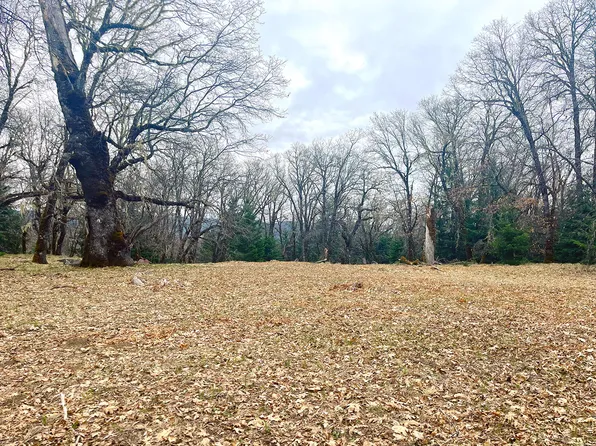 Bear Creek Rd, Bridgeville, CA 95526