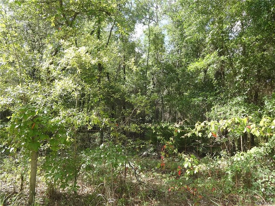 1st image of 7542 W Sir Walters Ln