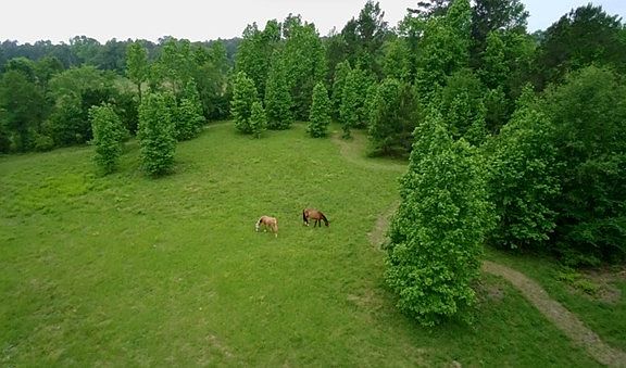 5th image of 1085 Duke Rd