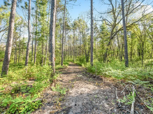 V/l Nelson St, Baldwin, MI 49304