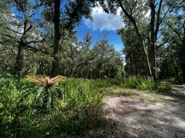 590 NW 20th Ave, Bell, FL 32619