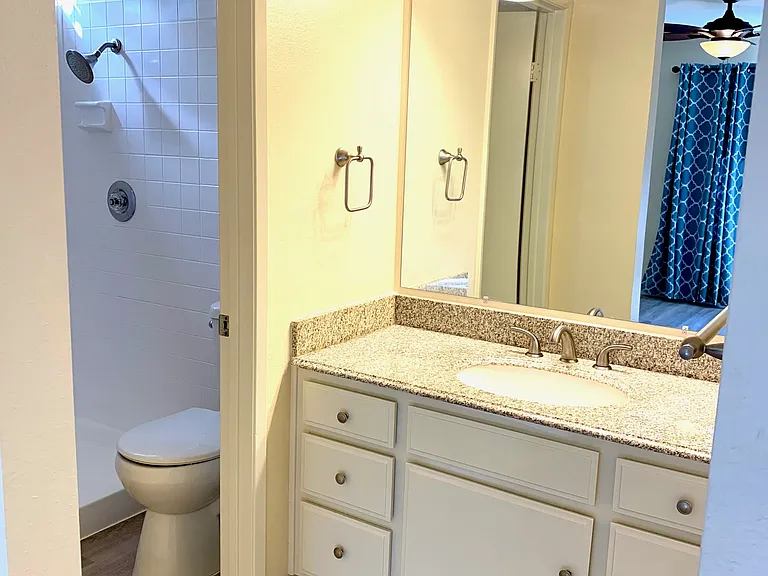 Main bedroom bathroom