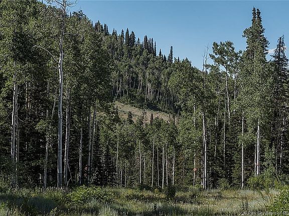 2nd image of 126 White Pine Canyon Rd #117