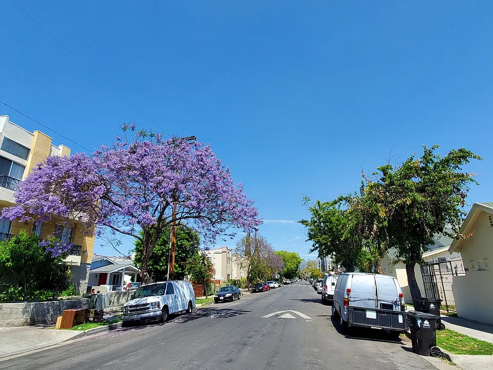 950 1/2 N Serrano Ave