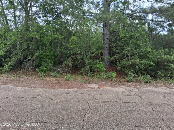 0 Ab Ladner Dr Lot D-24, Lumberton, MS 39455