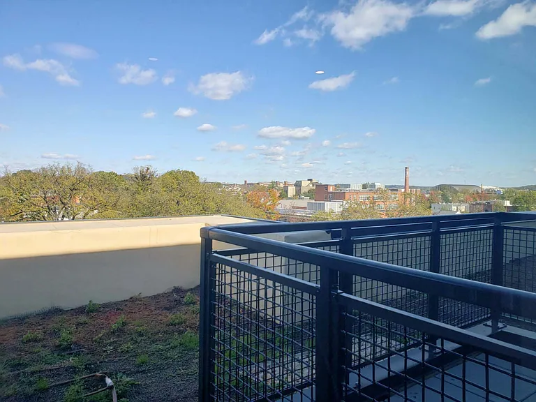 Beckert's Park — Photo 130