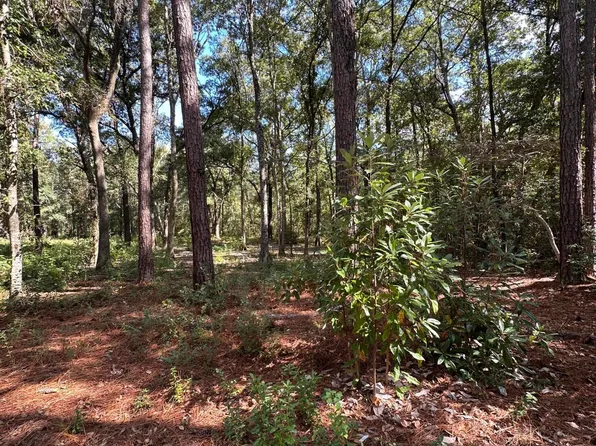 Green Thumb Dr Lot 11, Biloxi, MS 39532
