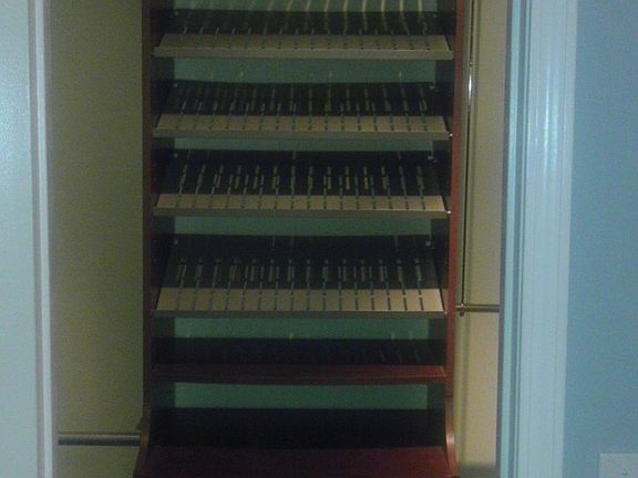 Walk in Closet in Master