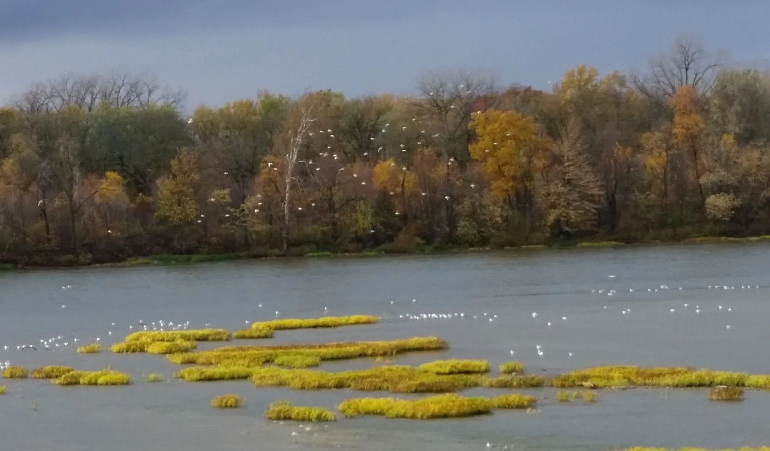 W River Rd, Grand Rapids — Photo 2