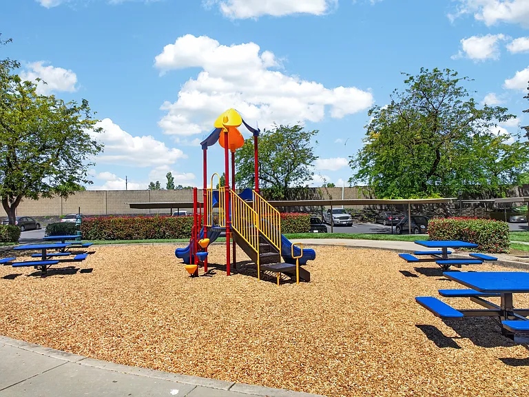 Laurel Oaks — Photo 11