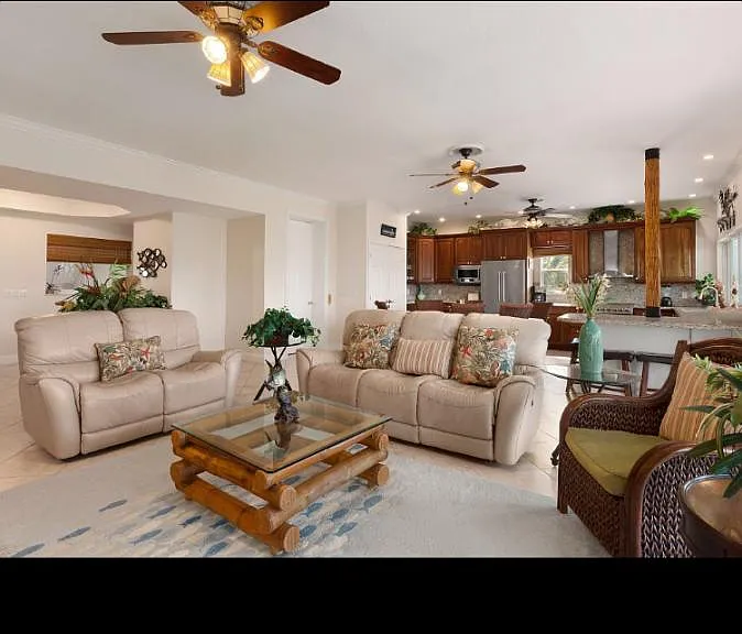 Open living/kitchen/dining