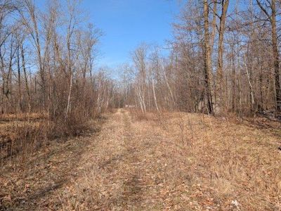 Tbd Lacy Ln, Pequot Lakes, MN, 56472
