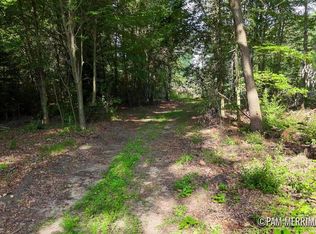 PARCEL Youngman Rd #B, Trufant, MI 49347