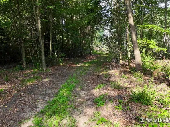 PARCEL Willard Rd #F, Trufant, MI 49347