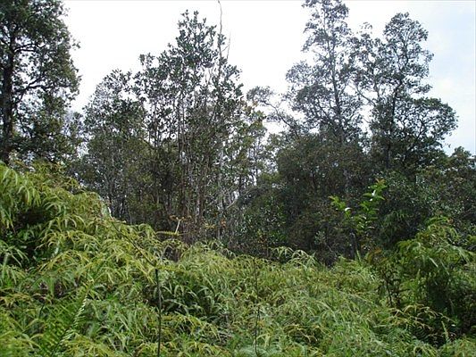 1st image of Kehaulani St Lot 14